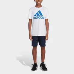 Boys 8-20 adidas Badge of Sport Graphic Tee -Adidas shop 4204143 ALT2