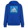 Boys 8-20 adidas Graphic Hoodie -Adidas shop 5558653