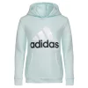Girls 4-6x adidas Graphic Hoodie -Adidas shop 5561754 Alms Blue